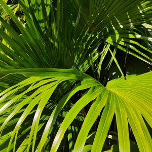 俄妹打台球免费观看完整版高清
